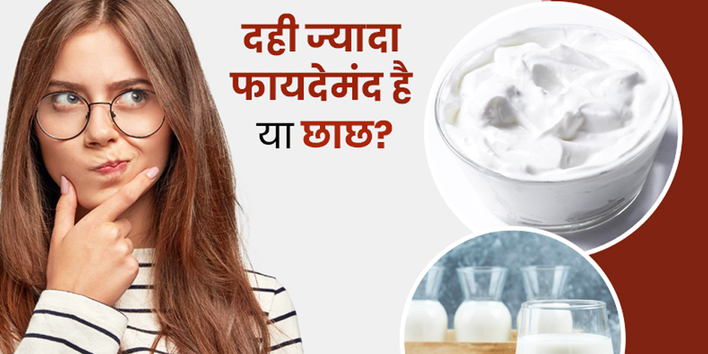 दही या छाछ क्या है सेहत के लिए ज्यादा फायदेमंद Dahi Vs Buttermilk Health Benefits In Hindi 0904